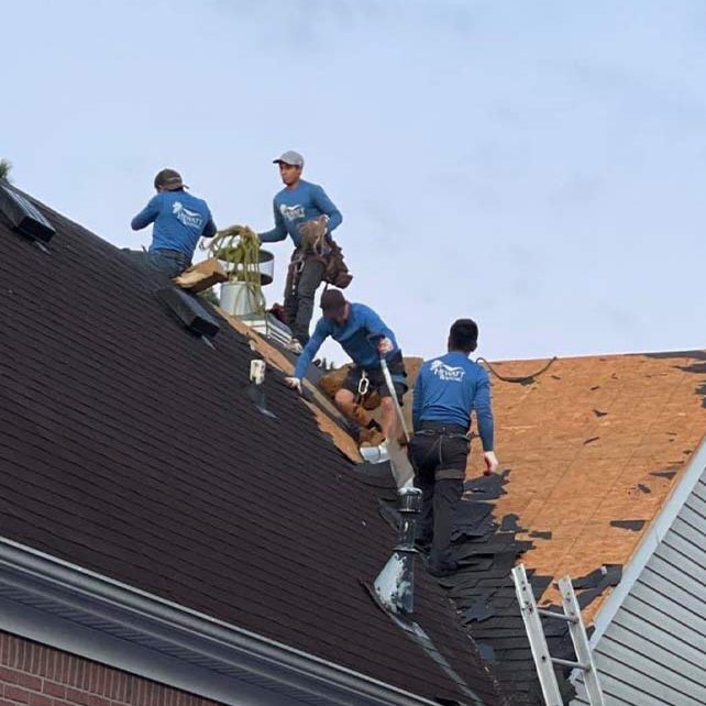 Roofer repairing roofs Roofer repairing roofs